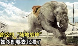 大驴影视爆料视频大全,视频大全精彩瞬间大揭秘