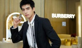 娱乐圈最新爆料刘宇宁视频,娱乐圈再掀热议风暴！